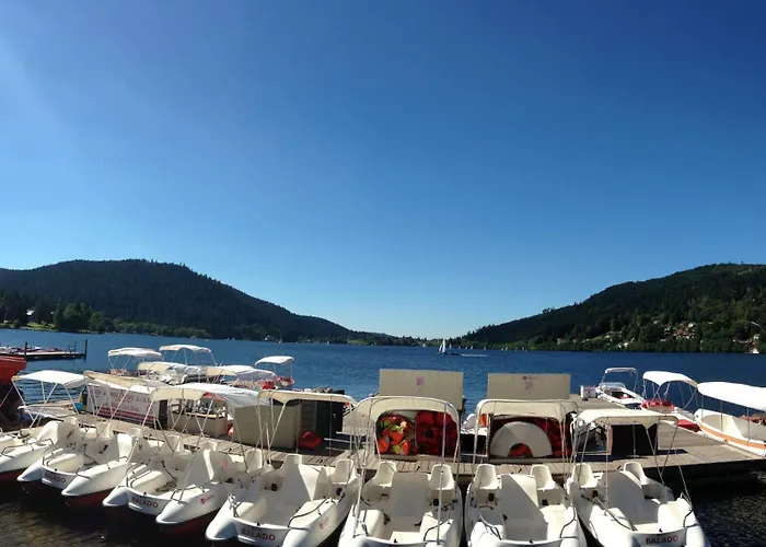 Coup De Coeur - Bord Et Vue Διαμέρισμα Gérardmer